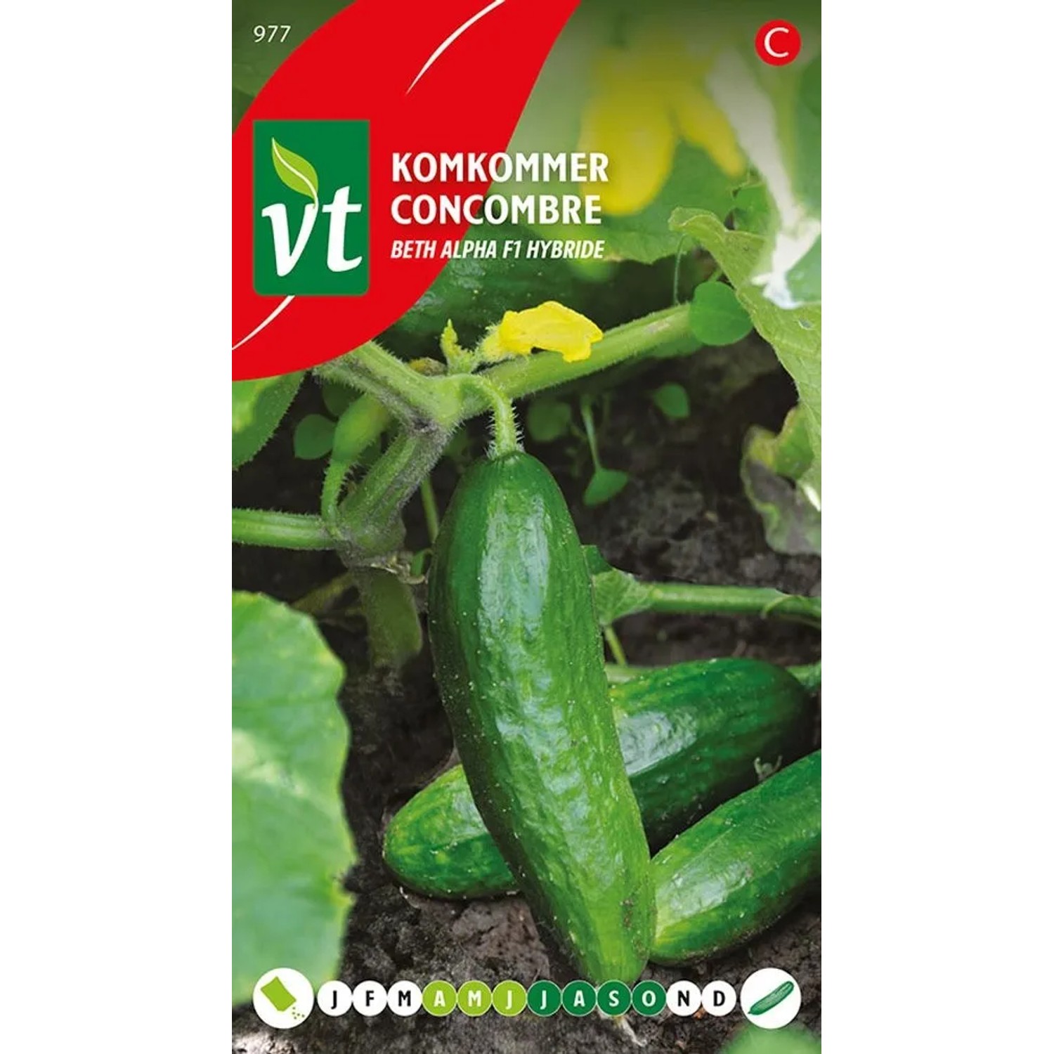 Salatgurke Mini Beth Alpha F1 SamenCa. 1 grHohes Ertragspotenzial