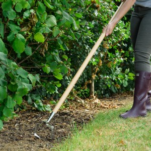Kent & Stowe Pendelhacke mit Langstiel im Einsatz beim Jäten im Garten.
