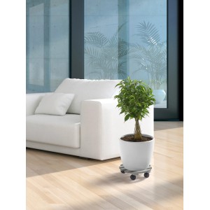 Grauer, runder Kübelroller unter einem Topf mit Pflanze im Wohnraum.