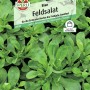 Sperli Feldsalat Elan: Samen für winterharten, frostfesten Feldsalat mit nussigem Geschmack.