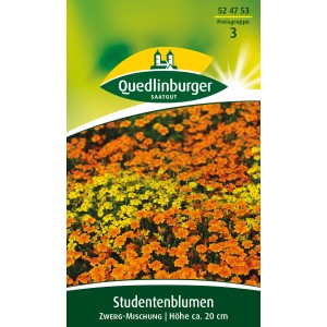 Quedlinburger Studentenblumen Zwerg-Mischung: Kompakte, orange und gelbe Blüten für Beet und Balkon.