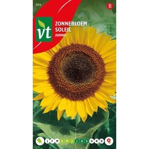 Sonnenblume 'Domino' Samen Ca. 1 g Große Blütenköpfe