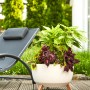 Beiges Siena Garden Pflanzgefäß Oslo (Ø 40x25 cm) mit Pflanzen auf einer Holzterrasse.