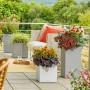 Lechuza Canto Stone low Pflanzkübel, Quarzweiß, 30x30 cm, mit Bepflanzung auf einer Terrasse.