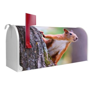 Weißer US Briefkasten mit Eichhörnchen Motiv, roter Fahne und Stahl Pulverbeschichtung.