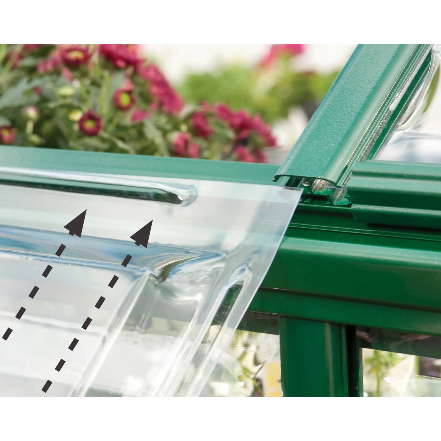 Detailaufnahme des Palram Canopia Gewächshauses mit grünen Rahmen und Polycarbonatplatten.