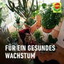 Compo öko balance Pflanzendünger 1l mit Zimmerpflanzen und Hund auf einem Sessel.