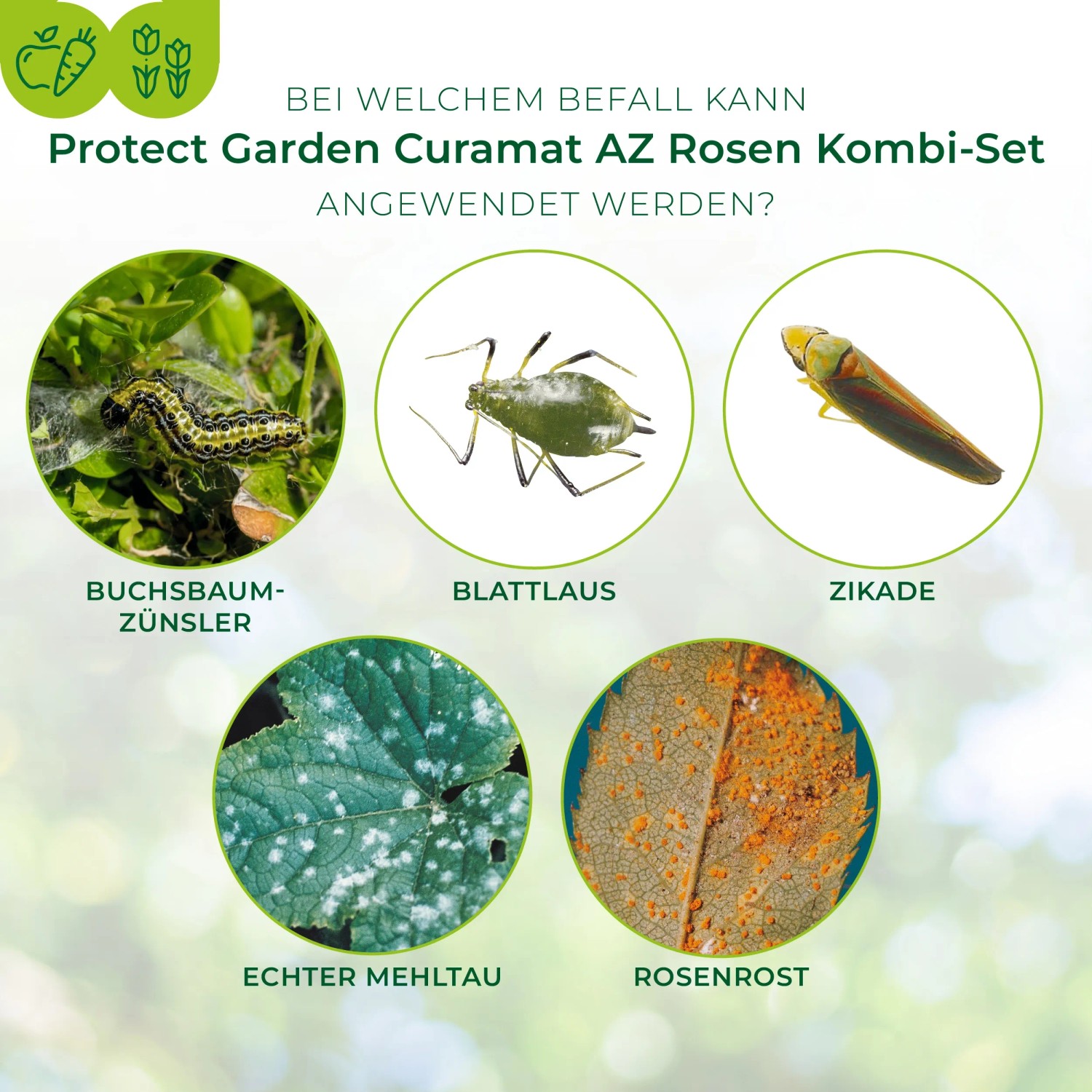 Protect Garden Pflanzenschutzmittel Rosen Kombi-Set 2 x 4 ml + 15 ml ...