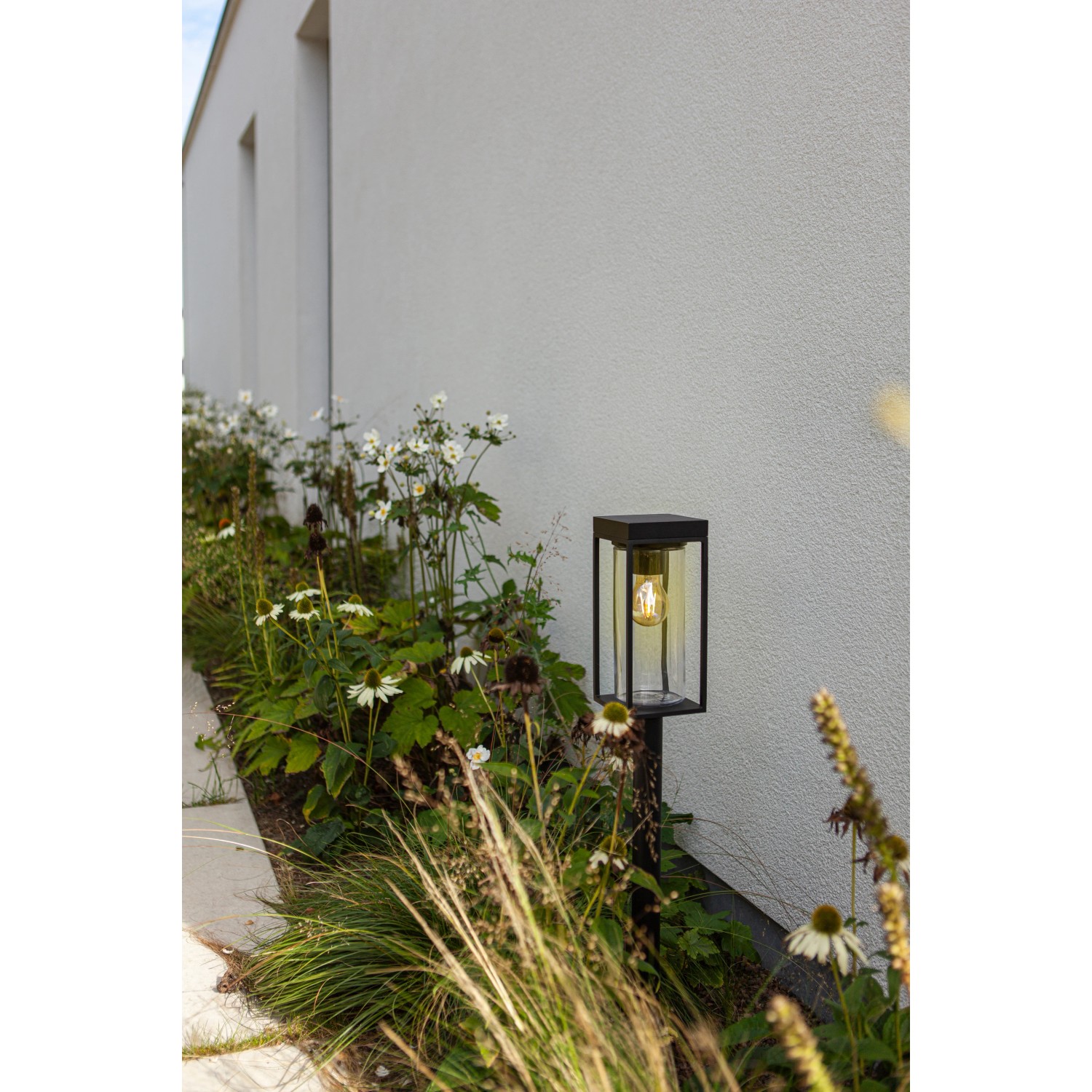 Lutec LED Solar Wegeleuchte Flair, mattschwarz, im Garten zwischen Pflanzen.
