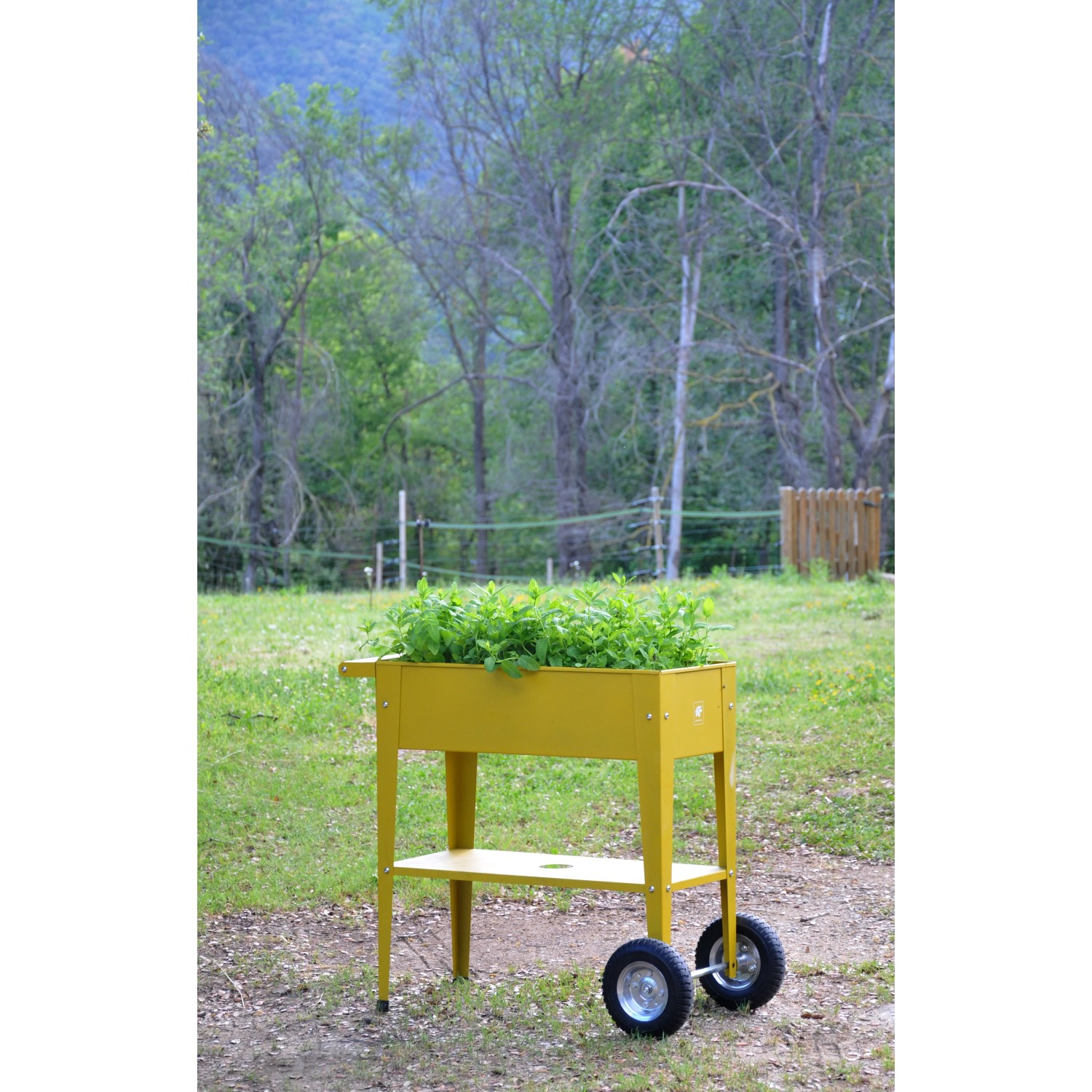 Gelbes Herstera Garden Metall-Hochbeet (80x75x35 cm) mit Kräutern und Ablagefläche im Garten.
