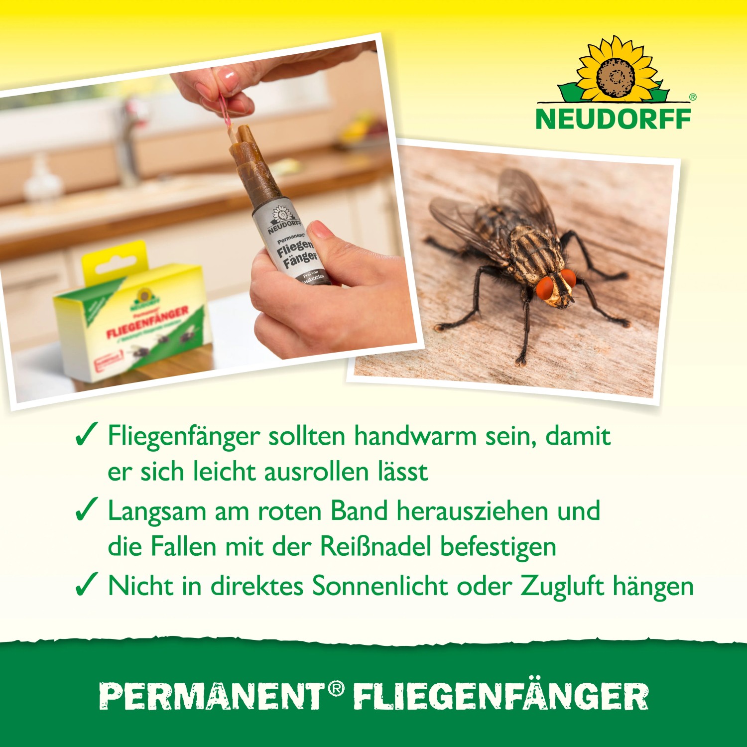 Neudorff Permanent Fliegenfänger: Aufgerollte Leimstreifen und Anwendungsbeispiel.