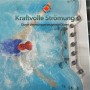 Canadian Spa Swim Spa: Schwimmer im Pool mit Gegenstromanlage und Düsen.