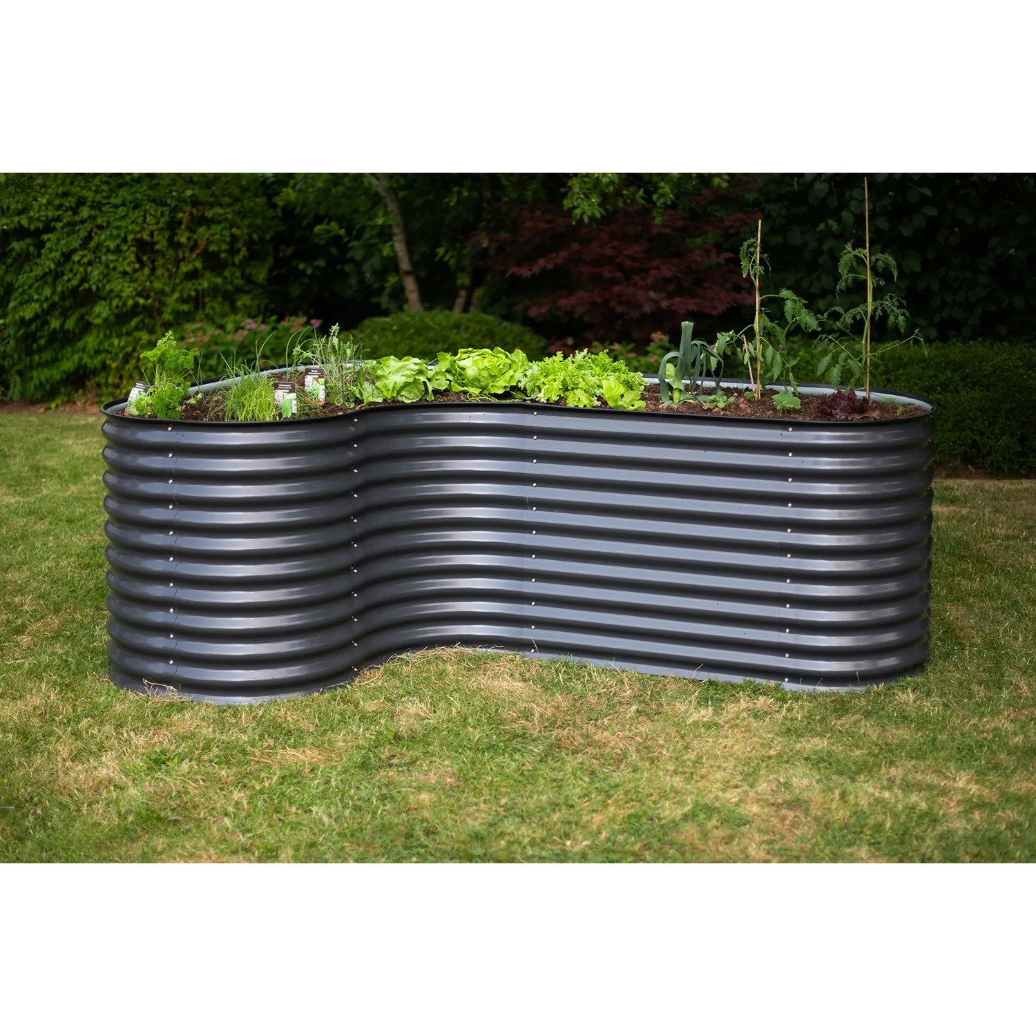 Anthrazitfarbenes Westmann Metall Hochbeet Grow Faster im Garten mit Bepflanzung.