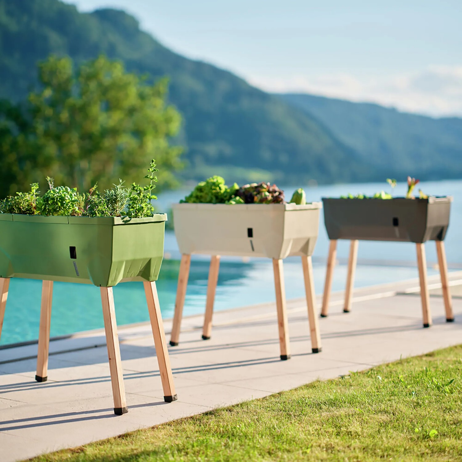 Drei Gusta Garden Anzuchtsgefäße Sammy Salad (15L) in Dunkelgrün, Beige und Grau auf Lärchenholzbeinen mit Salat und Kräutern.