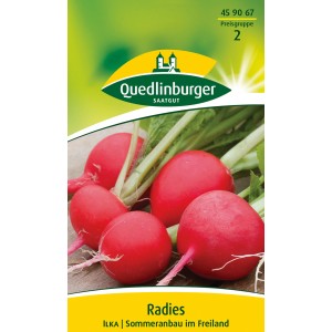 Quedlinburger Radieschen Ilka Samen: Leuchtend rote, runde Radieschen-Knollen auf der Packung.