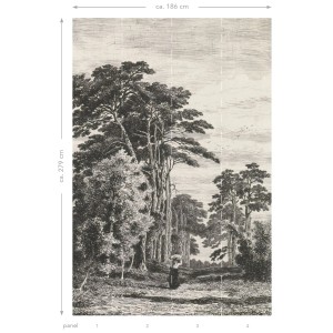 ESTAhome Fototapete: Schwarz-weiße Waldlandschaft, 1,86x2,79m. Stimmungsvolle Vliestapete für Wohnräume.
