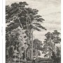 ESTAhome Fototapete: Schwarz-weiße Waldlandschaft, 1,86x2,79m. Stimmungsvolle Vliestapete für Wohnräume.