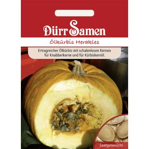 Dürr Samen Ölkürbis Herakles Saatgut: Aufgeschnittener Kürbis mit Kernen, Verpackung im Hintergrund.