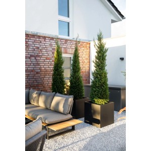 Anthrazitfarbener Vivanno Pflanzkübel Block 60x60x60 cm mit Koniferen auf Terrasse.