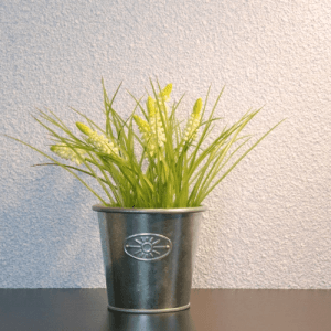 Nahaufnahme von weißem Baumwollputz (Floxxan Montana 501) mit Pflanze im Topf vor einer Wand.