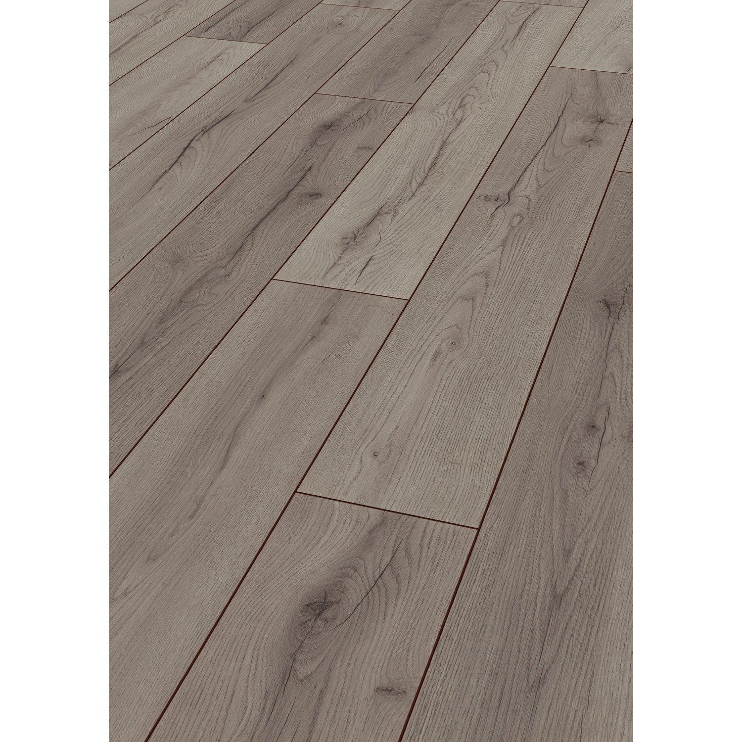 Jangal Laminatboden Oak National Park Line Plus Grey günstig online kaufen