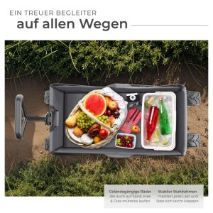 Tectake Bollerwagen Heidrun Faltbar Extra Breite Kunststoffräder  114 x 51 x 120 50 cm Grau