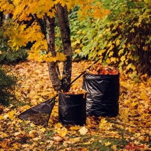 Fiskars Laubbesen Solid XL mit Laubsäcken im herbstlichen Garten.