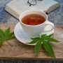Tasse Tee mit Cannabis-Zuckerstrauch Blättern, Buch und Brille im Hintergrund.