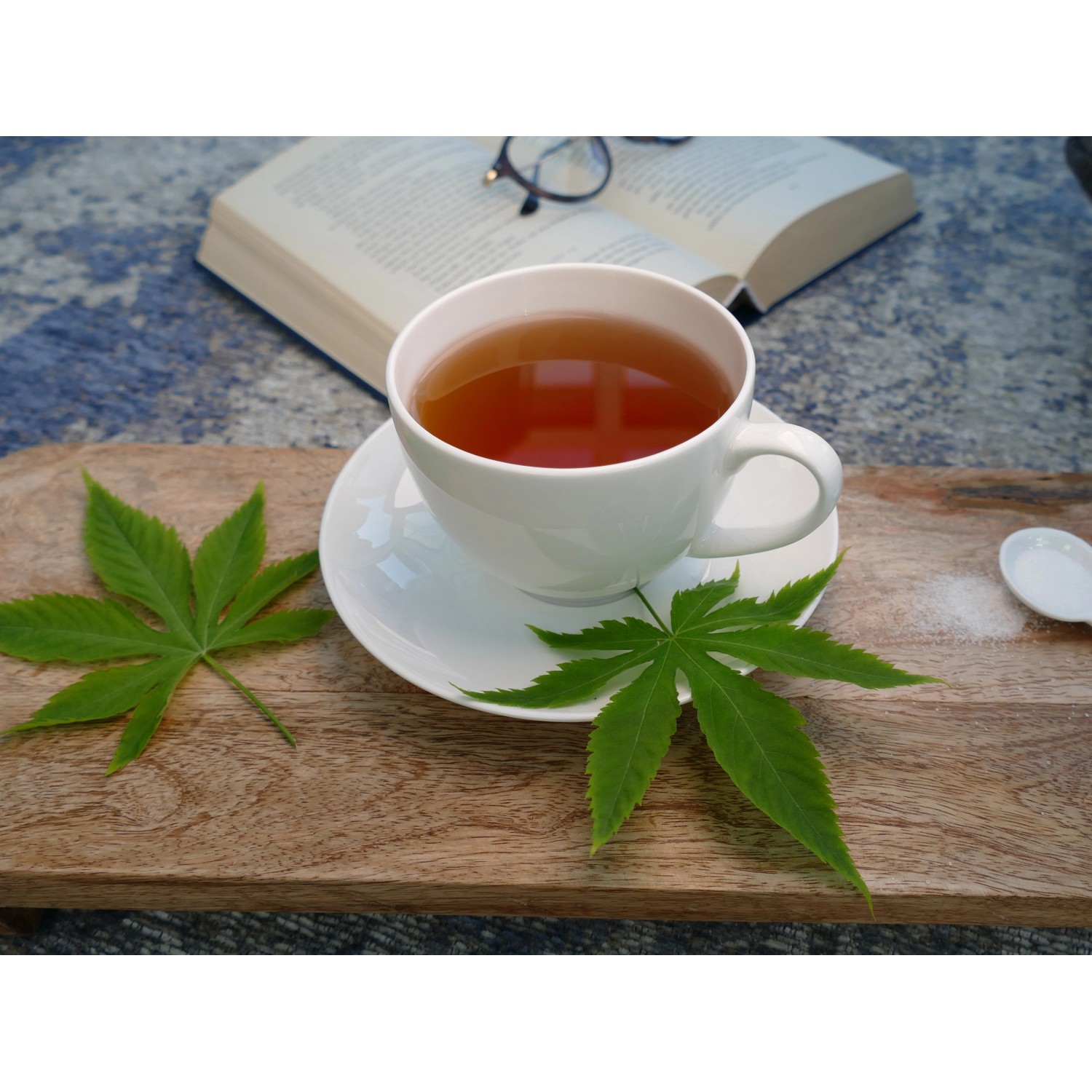 Tasse Tee mit Cannabis-Zuckerstrauch Blättern, Buch und Brille im Hintergrund.
