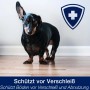 Bona Parkett Polish Glänzend 1 l: Dackel auf behandeltem Holzboden, Schutzschild im Hintergrund.
