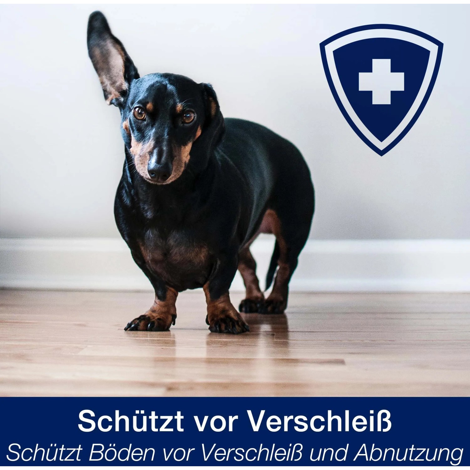 Bona Parkett Polish Glänzend 1 l: Dackel auf behandeltem Holzboden, Schutzschild im Hintergrund.
