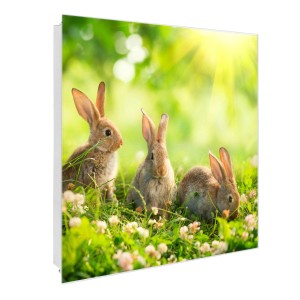 Weißer Schlüsselkasten mit Glasfront, Hasenmotiv, 50 Haken, magnetisch und beschreibbar.