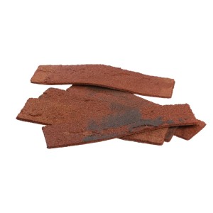 Elabrick Verblender Gdansk, rot, 210x50mm, ca. 72 Stück. Rustikale Wandgestaltung für Innen & Außen.