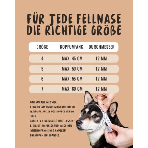 Größentabelle für Rudelkönig Zugstopphalsband Hund, Anleitung zum Messen des Kopfumfangs.