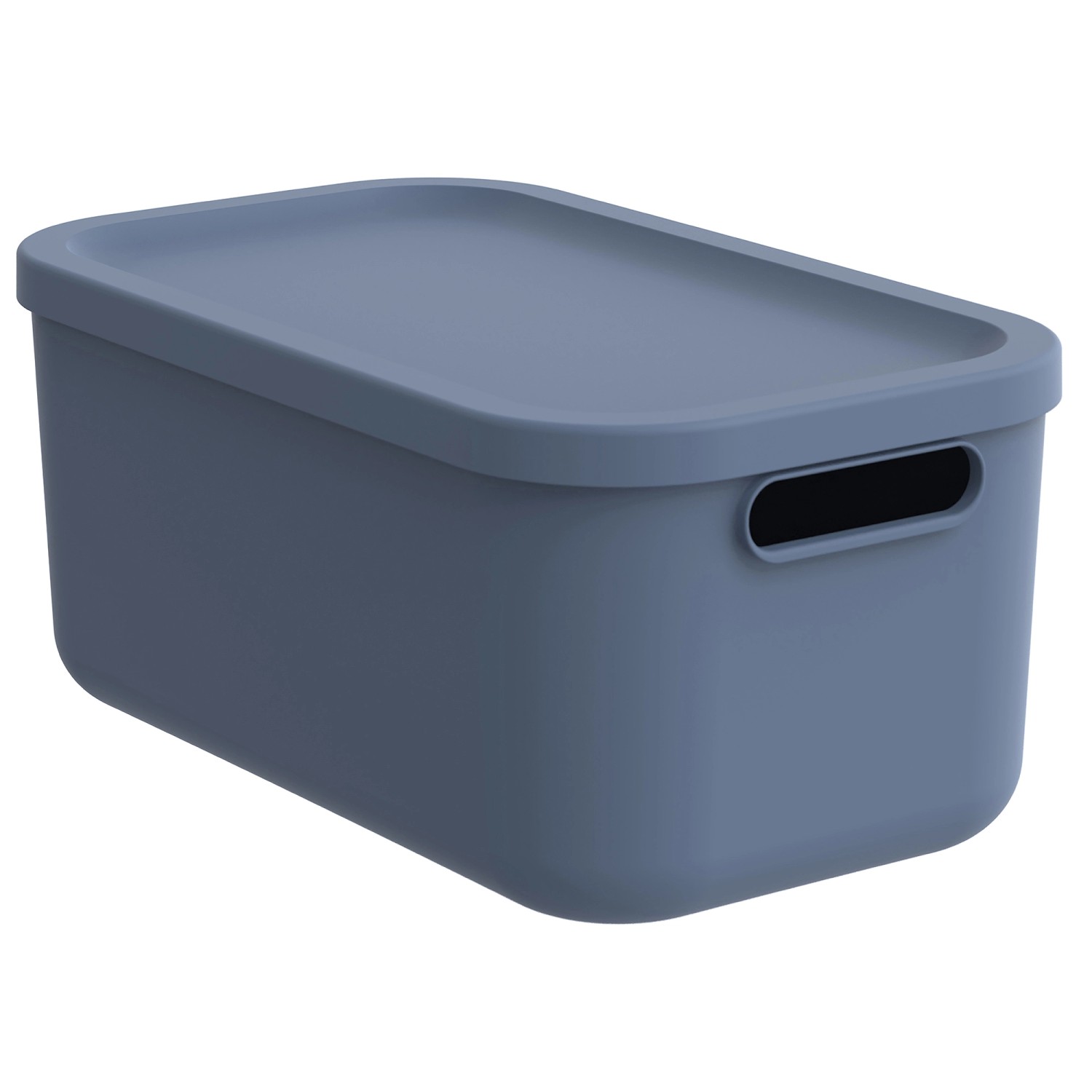 Rotho Multibox Albula 12, Horizontblau