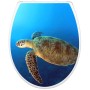 Banjado WC-Sitz Familie mit Wasserschildkröte Motiv, Klodeckel mit integriertem Kindersitz.