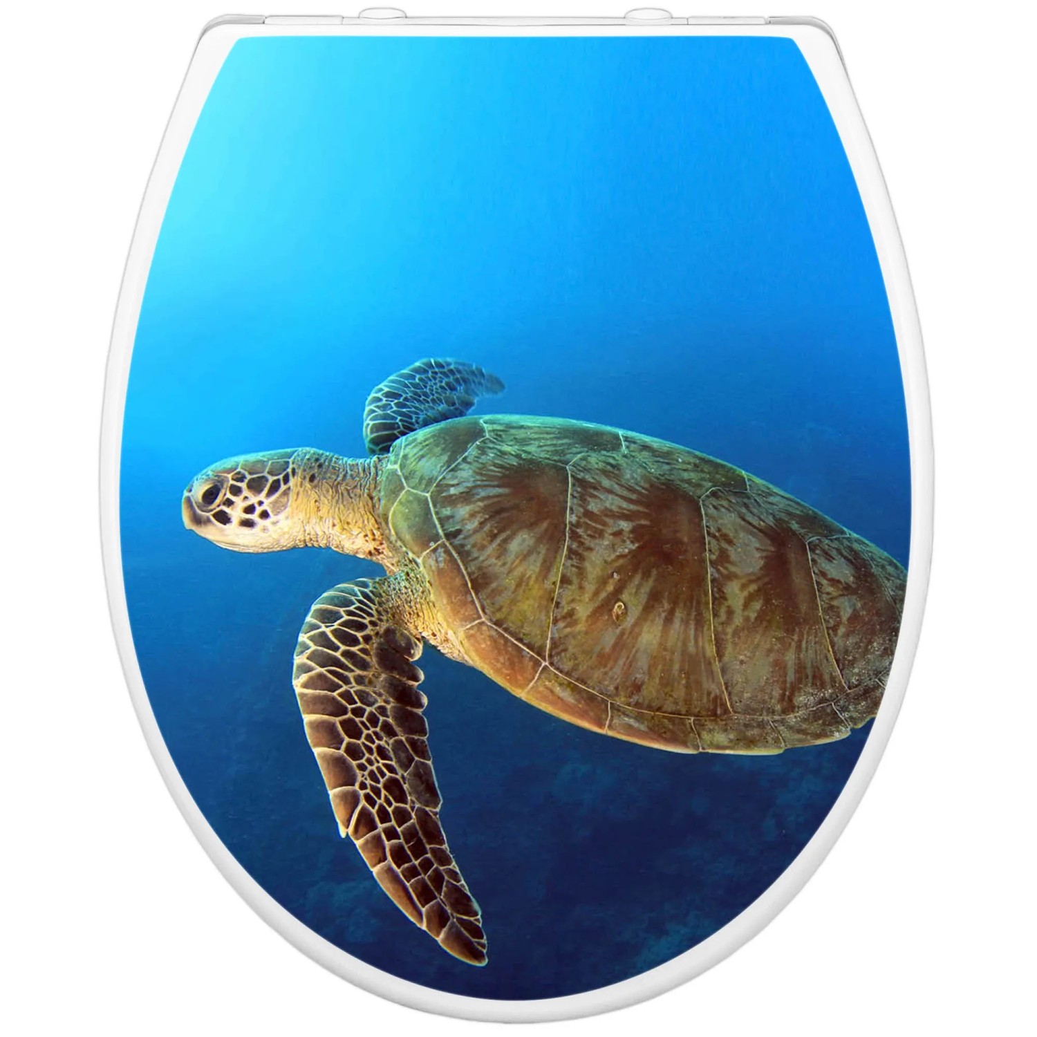 Banjado WC-Sitz Familie mit Wasserschildkröte Motiv, Klodeckel mit integriertem Kindersitz.