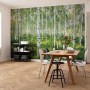 Komar Fototapete Sunny Day mit Birkenwald-Motiv im Wohnraum, 368x254 cm.