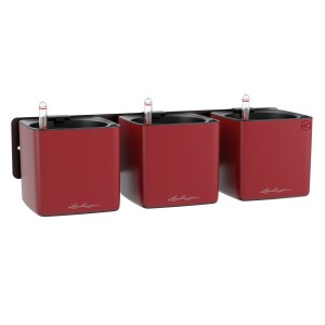 Lechuza Green Wall Home Kit Scarlet, 3 rote Pflanzgefäße an schwarzer Wandhalterung.