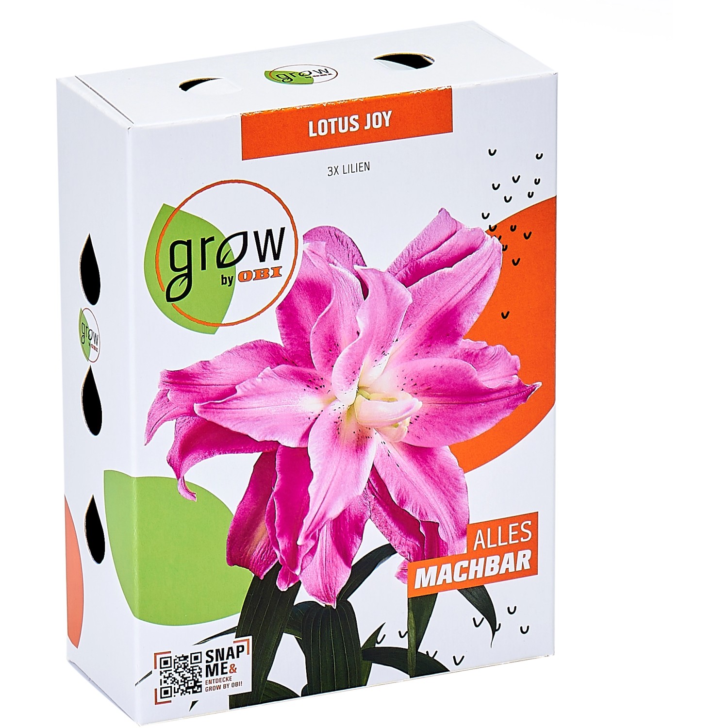 GROW by OBI Lilien "Lotus Joy" Rosa kaufen bei OBI
