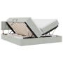 vidaXL Bett mit LED-Lichtleisten Hellgrau 200 x 200 cm Samt 3371639