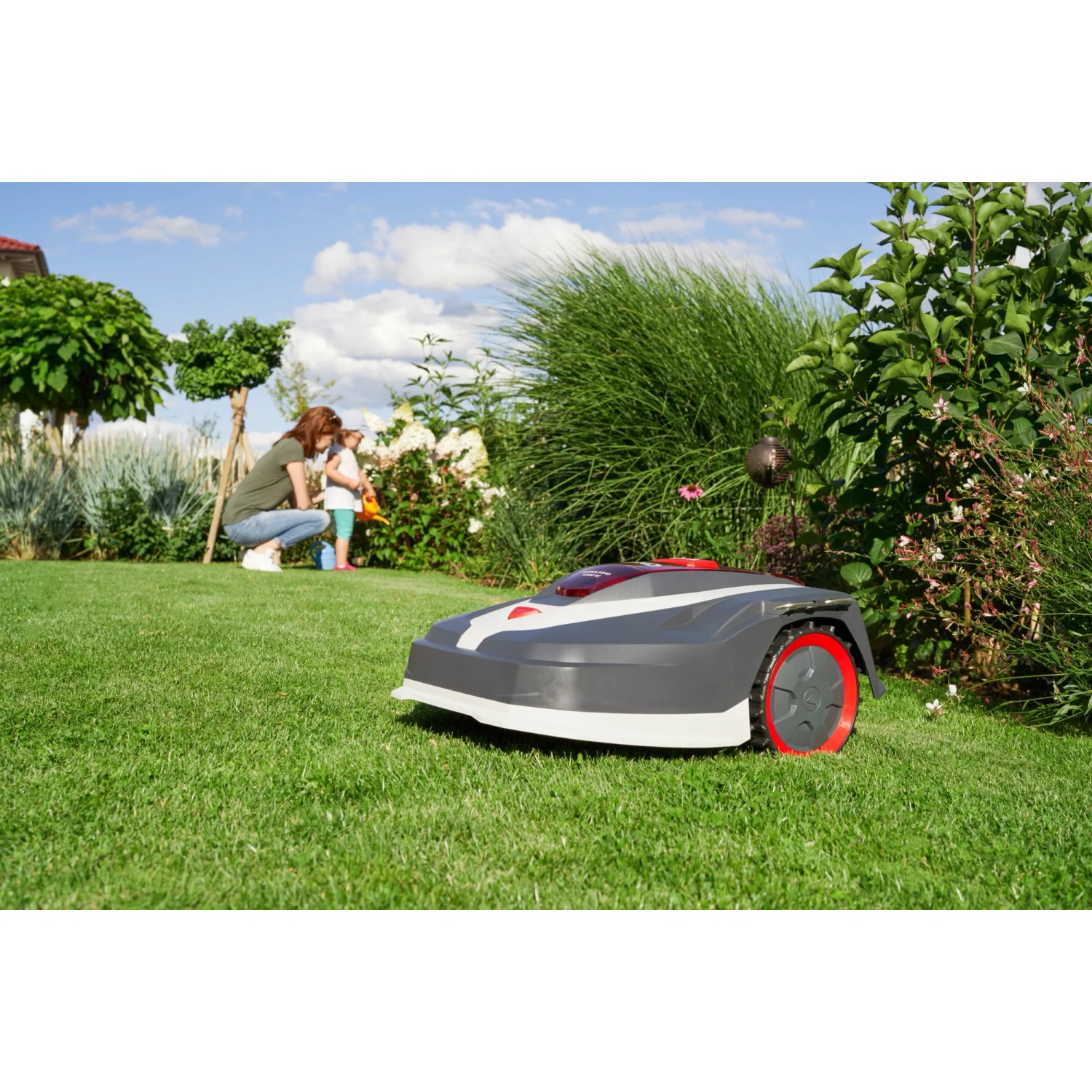 Al-Ko Robolinho 1.300 W Mähroboter im Garten, mäht Rasen vollautomatisch.