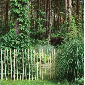 GartenLand Juist Haselnuss-Zaunpfahl 150 cm Durchmesser ca. 6-10 cm