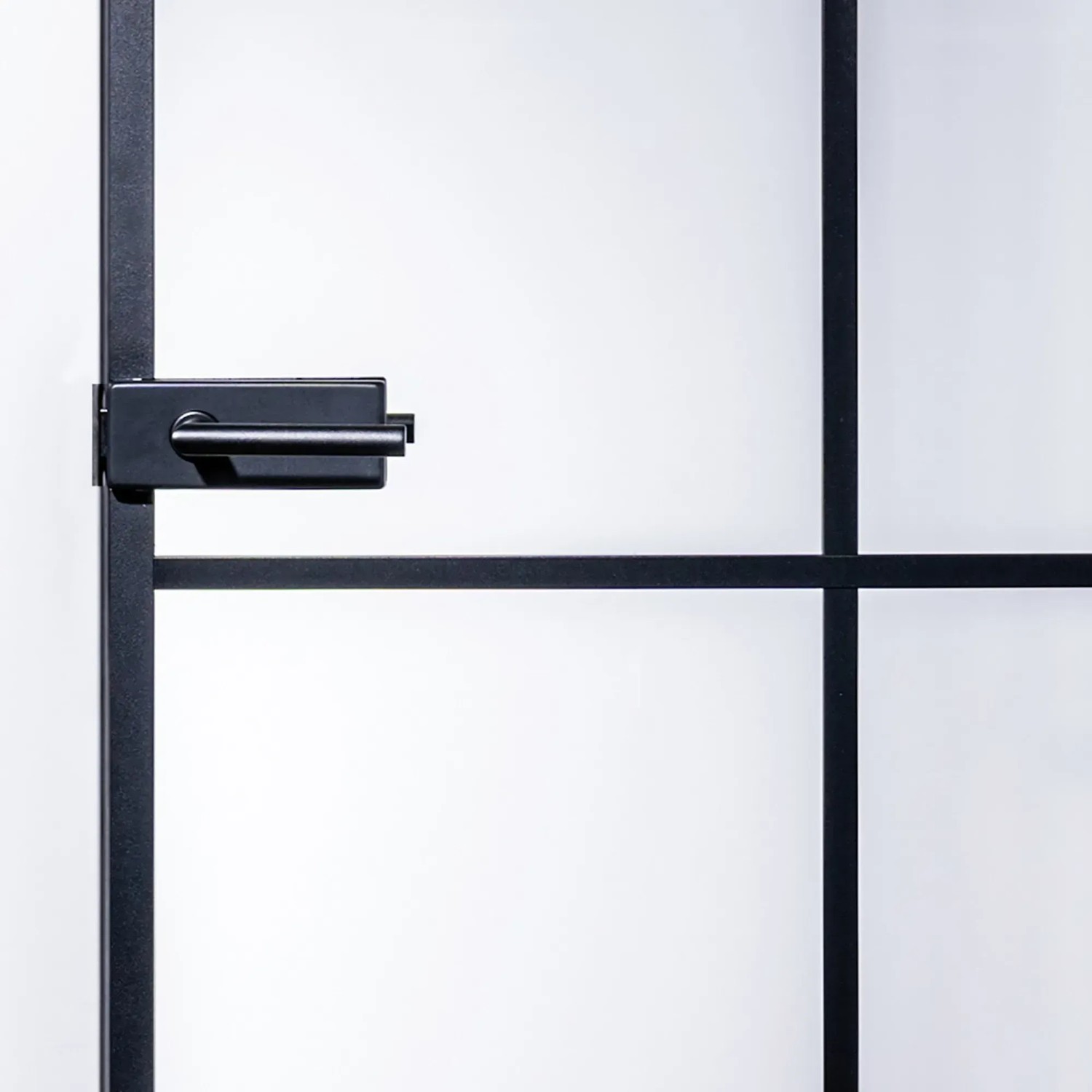 Detailaufnahme: Skyscope Portal Drehtür-Set Slimwork Typ 8 mit Klarglas und schwarzem Türgriff.