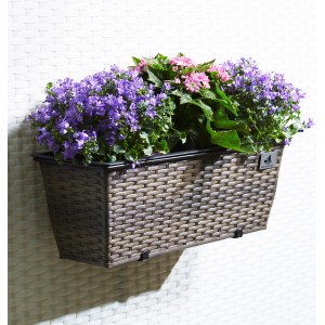 Gartenfreude Balkonkasten 50cm Cappuccino mit Bewässerung und lila/rosa Blumen.