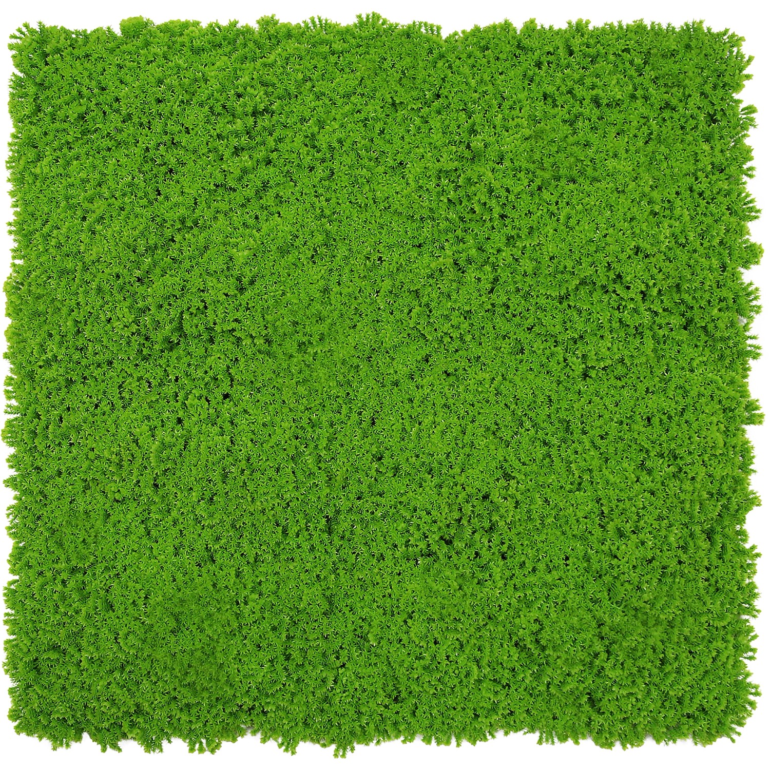 Jangal Wandpaneel Modular Wall Lime Green Design Moos 52 x 52 cm günstig online kaufen