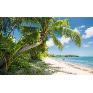 Sanders & Sanders Fototapete: Tropischer Strand mit Palmen und blauem Meer.