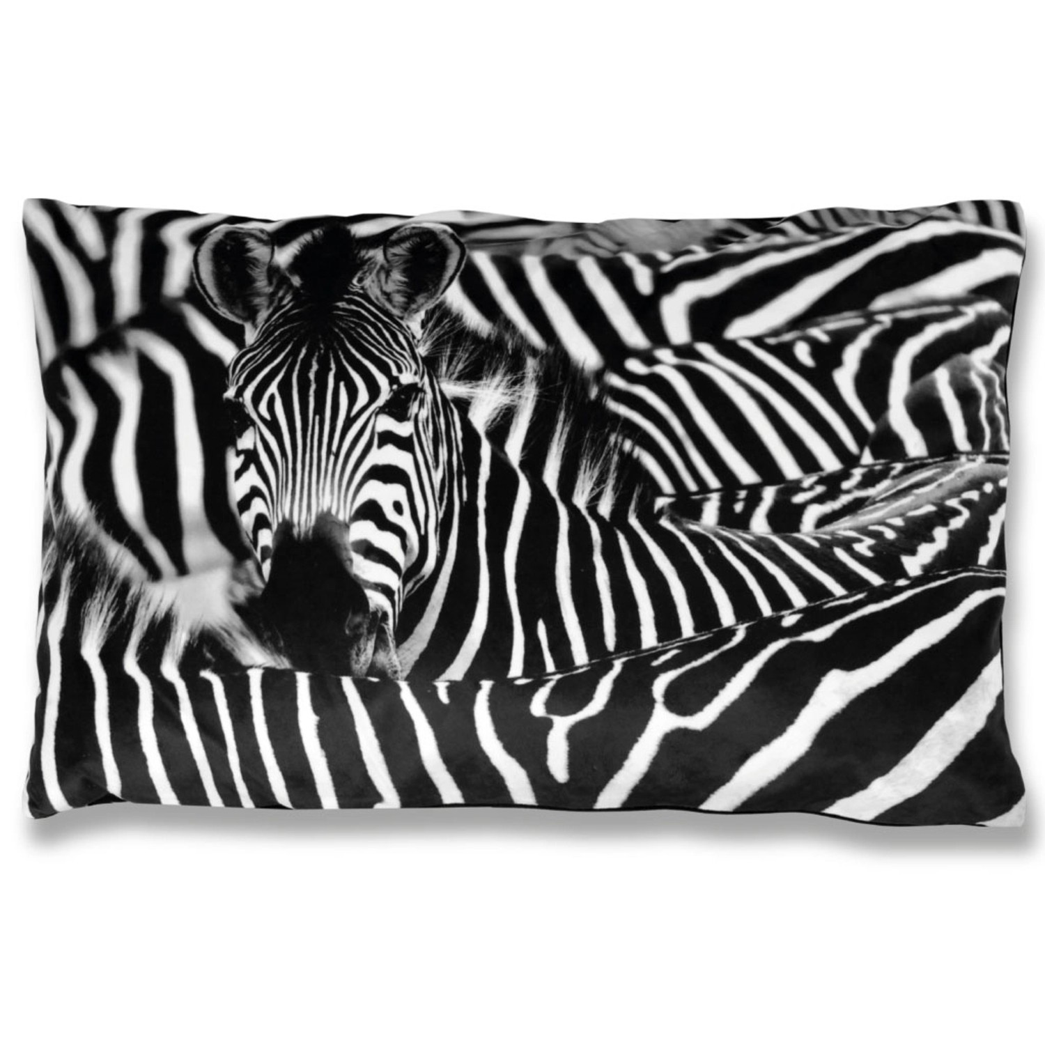 Bestlivings Kissenhülle Fotodruck Zebra 40 x 60 cm mit Füllung günstig online kaufen