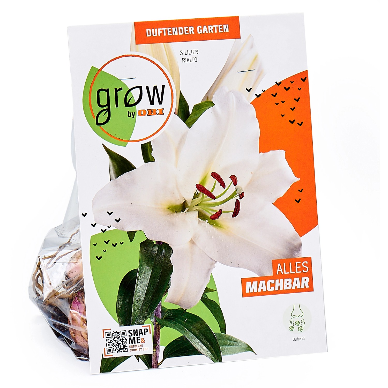 GROW by OBI Duftender Garten Lilien "Rialto" Weiß kaufen bei OBI