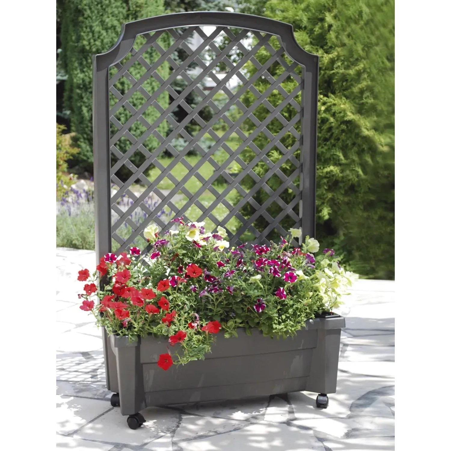 Spalier mit Pflanzkasten und Bewässerungssystem, 79 cm